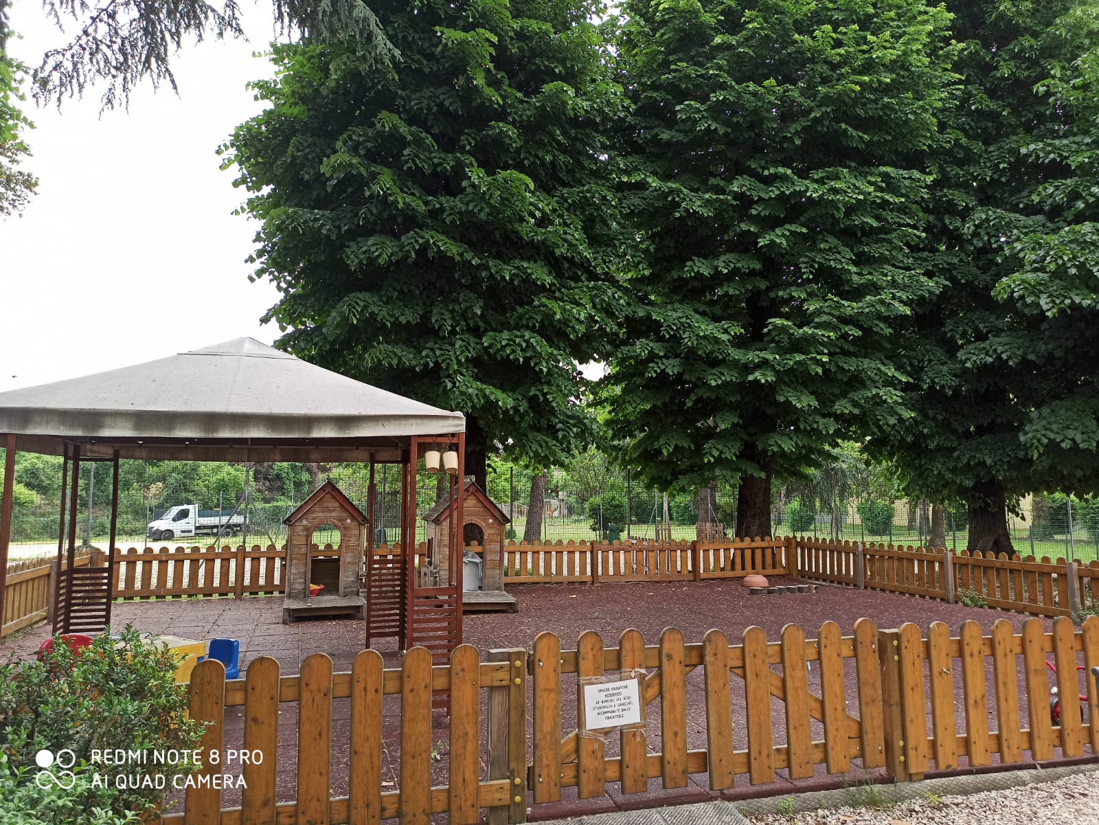 Nido Graziano Grazzini