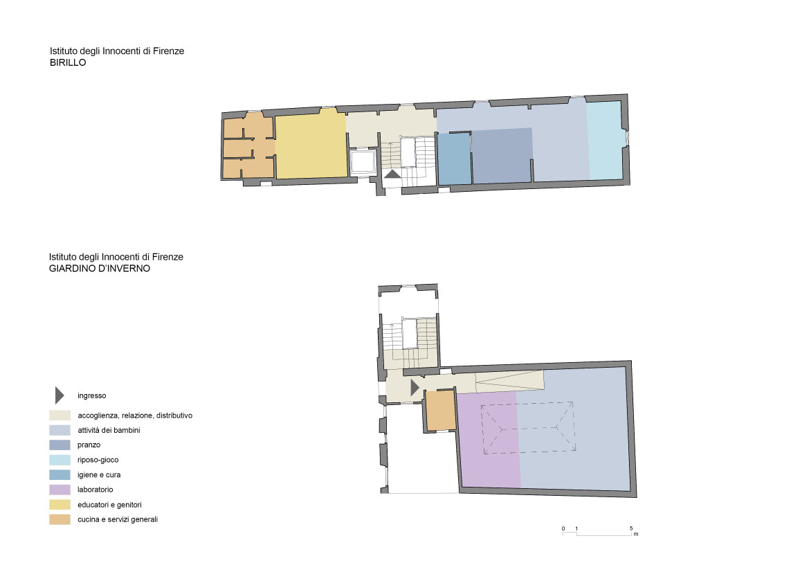 Piantina nido Birillo