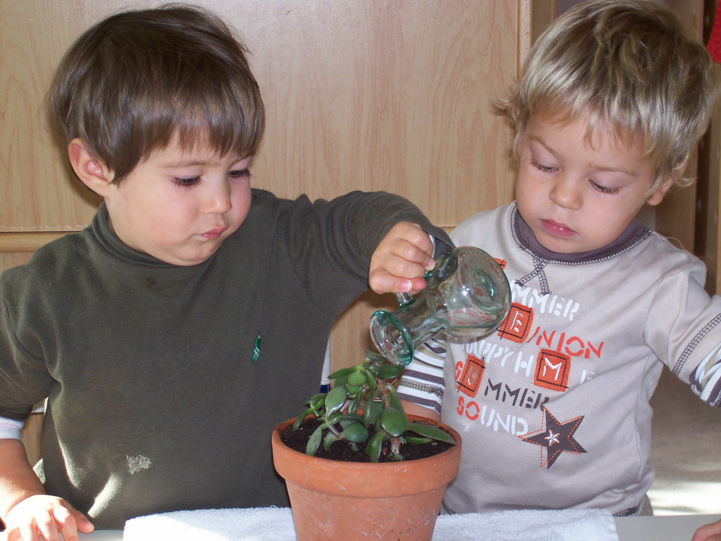 due bambini piccoli che annaffiano una piantina