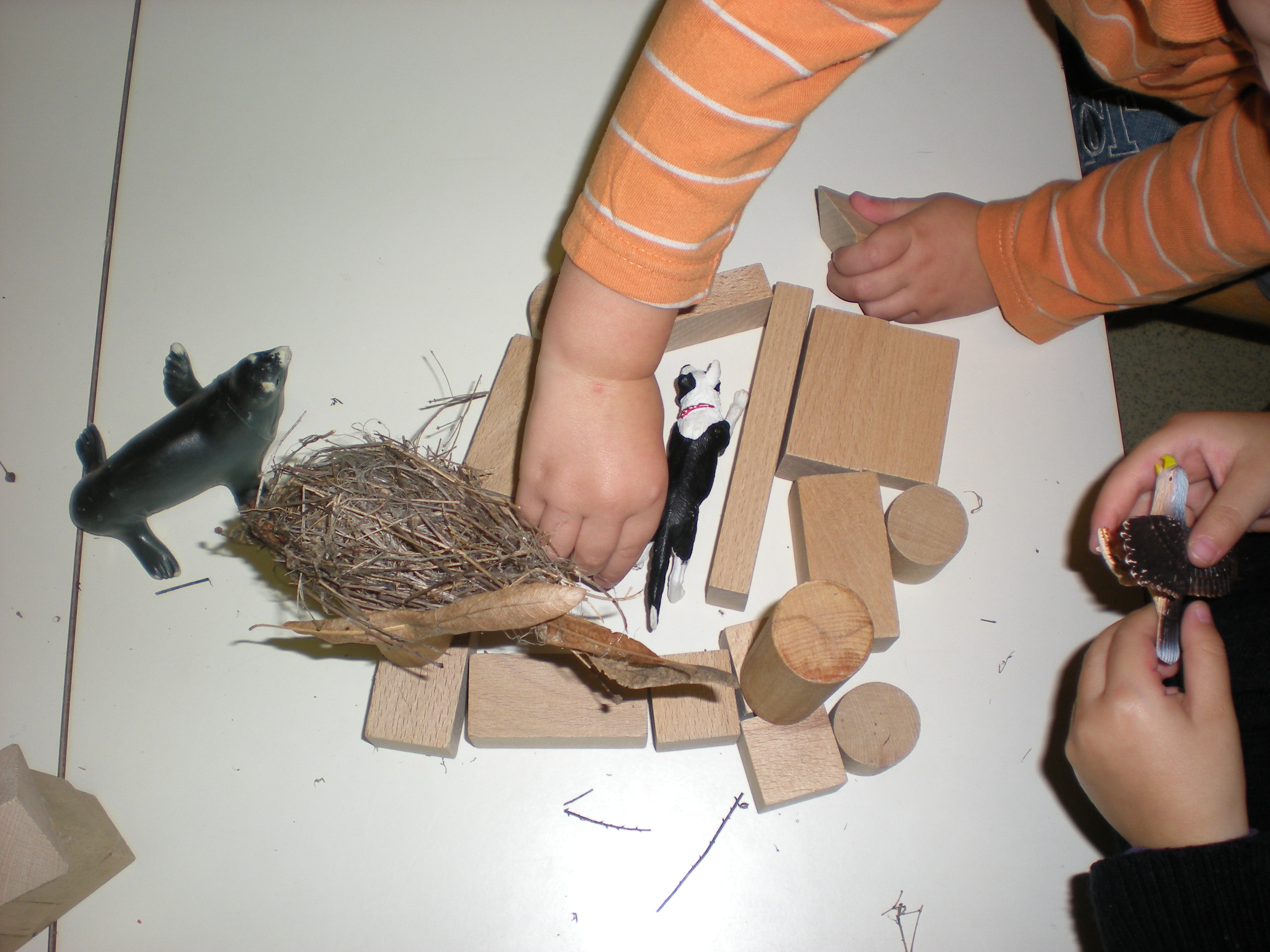 Nido d’infanzia Capuana (nome provvisorio) 